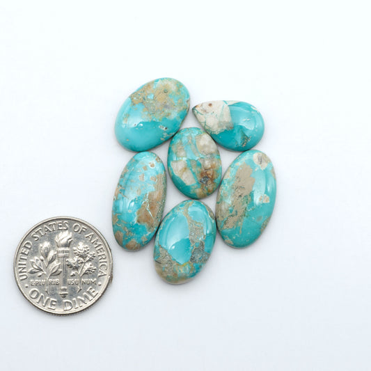 Fox Turquoise cabochons, polished gemstones with natural matrix on a white background, with a US dime for scale