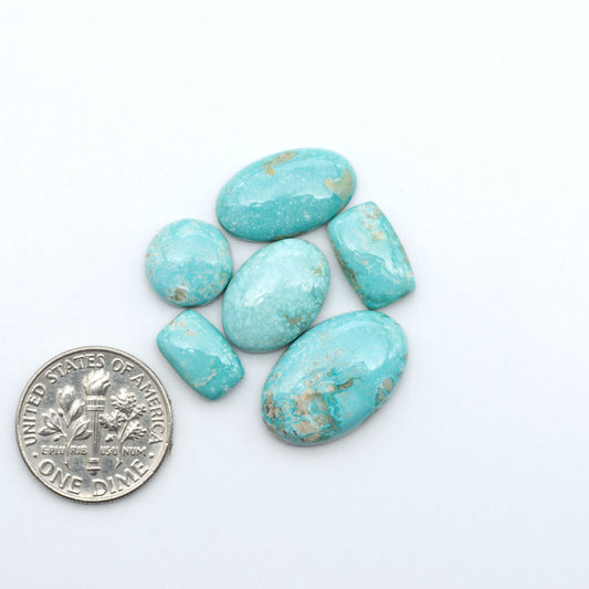 Fox Turquoise cabochons, polished gemstones with natural matrix on a white background, with a US dime for scale