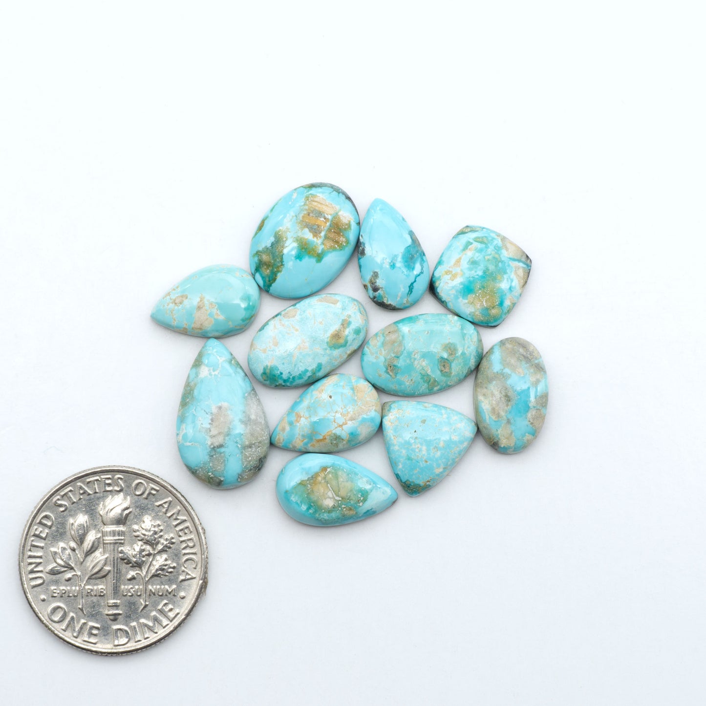 Fox Turquoise cabochons, polished gemstones with natural matrix on a white background, with a US dime for scale