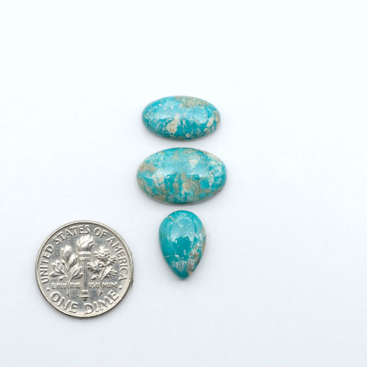 Fox Turquoise cabochons, polished gemstones with natural matrix on a white background, with a US dime for scale