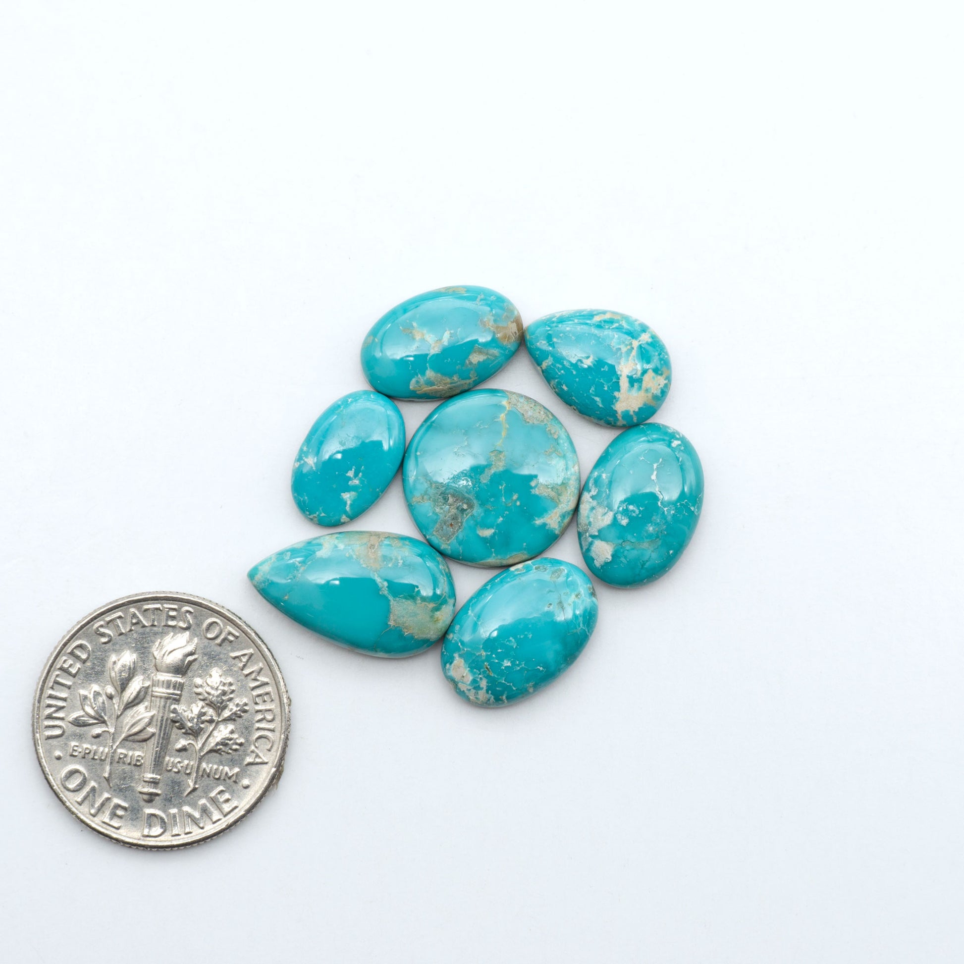 Fox Turquoise cabochons, polished gemstones with natural matrix on a white background, with a US dime for scale