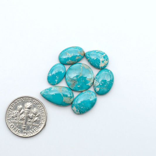 Fox Turquoise cabochons, polished gemstones with natural matrix on a white background, with a US dime for scale