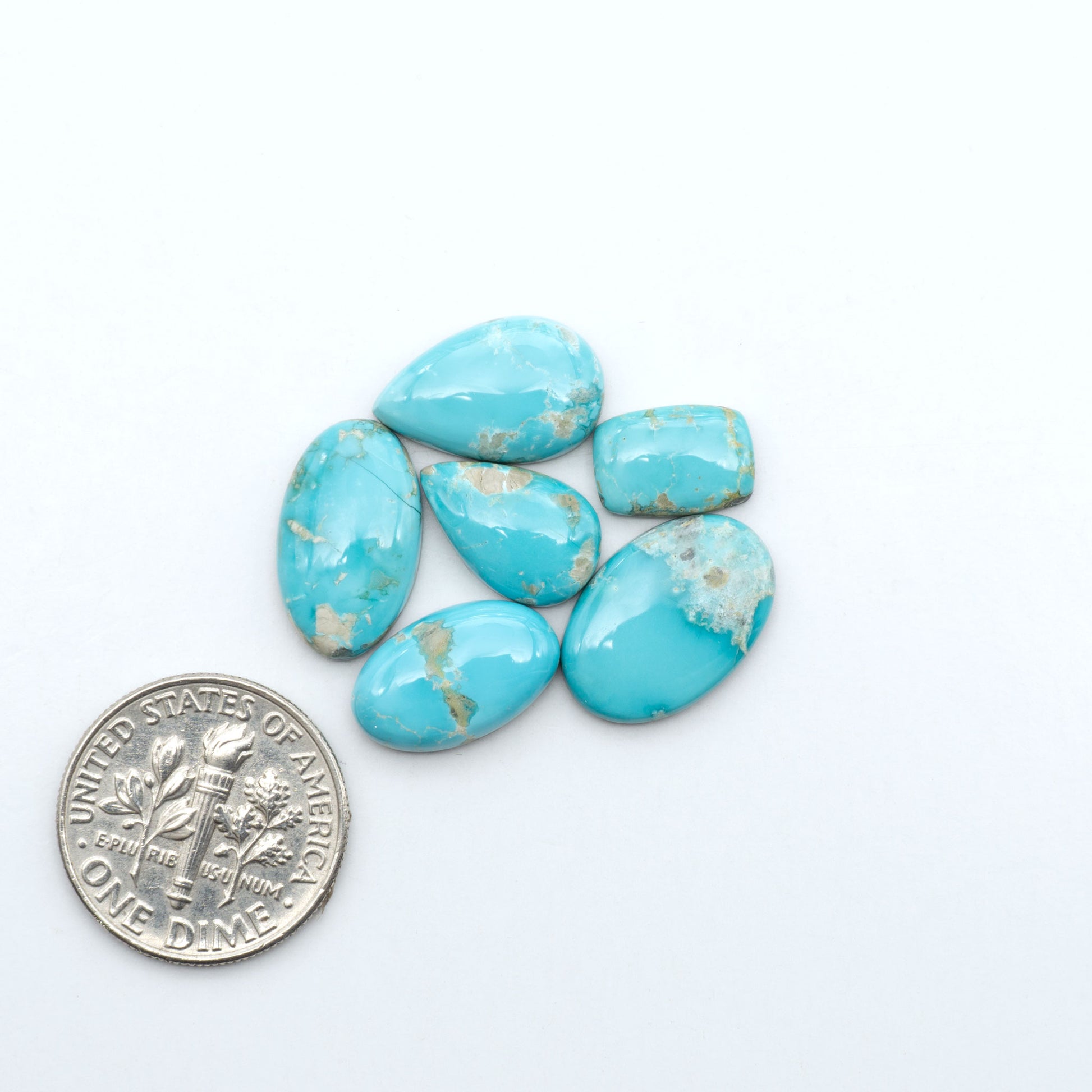 Fox Turquoise cabochons, polished gemstones with natural matrix on a white background, with a US dime for scale