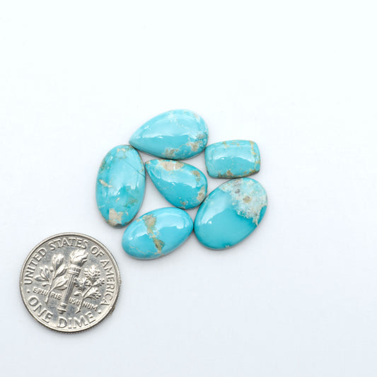 Fox Turquoise cabochons, polished gemstones with natural matrix on a white background, with a US dime for scale