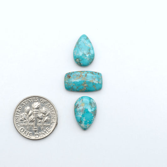 Fox Turquoise cabochons, polished gemstones with natural matrix on a white background, with a US dime for scale