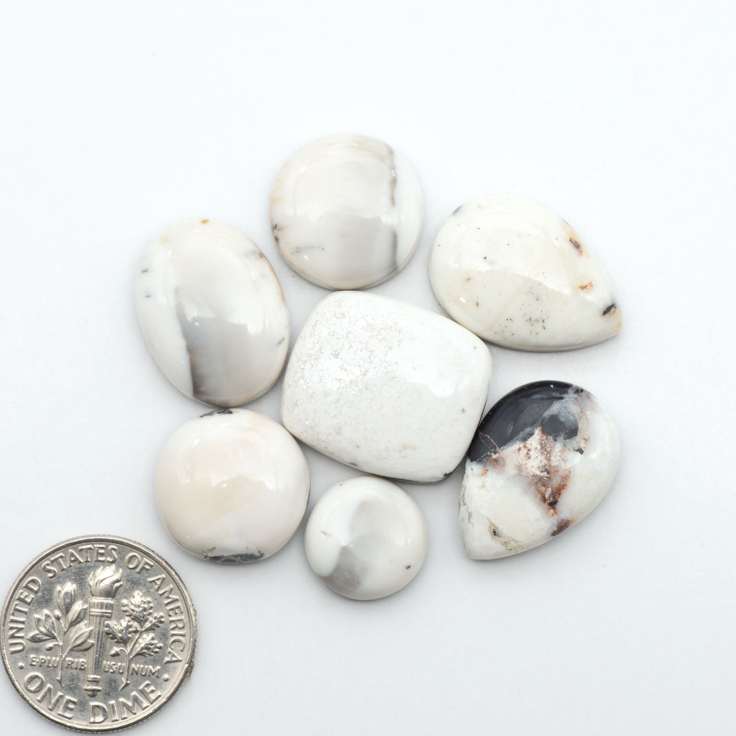 White Buffalo Stone Cabochons