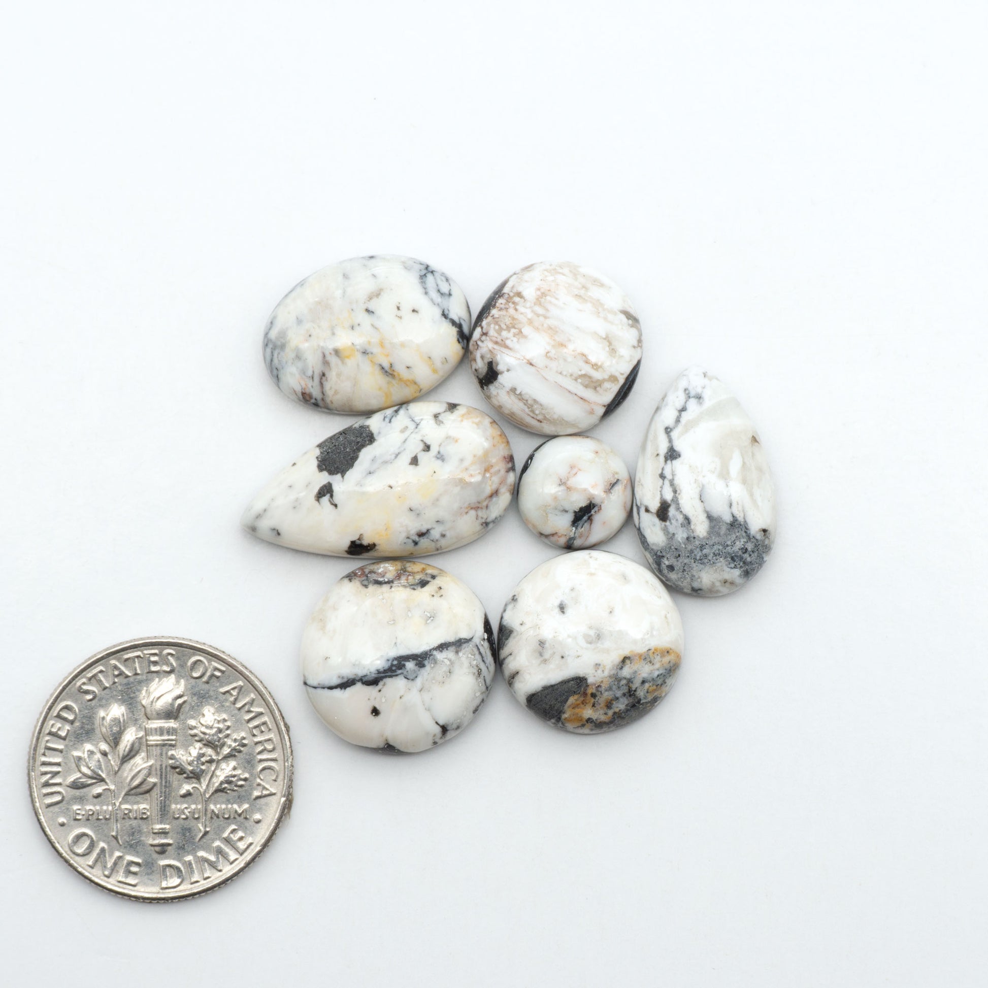 White Buffalo stone cabochons, white stone with black matrix, polished stones on a white background, with a US dime for scale