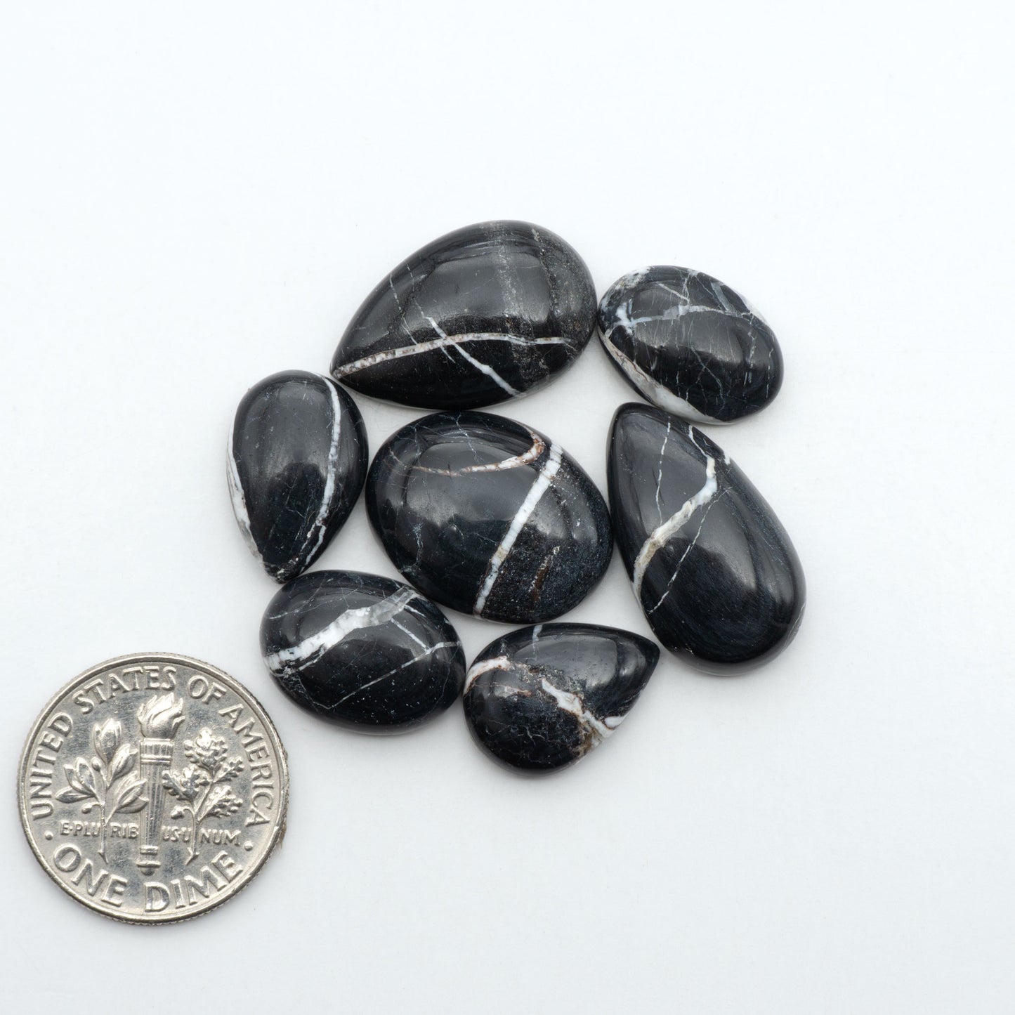 White Buffalo stone cabochons, white stone with black matrix, polished stones on a white background, with a US dime for scale