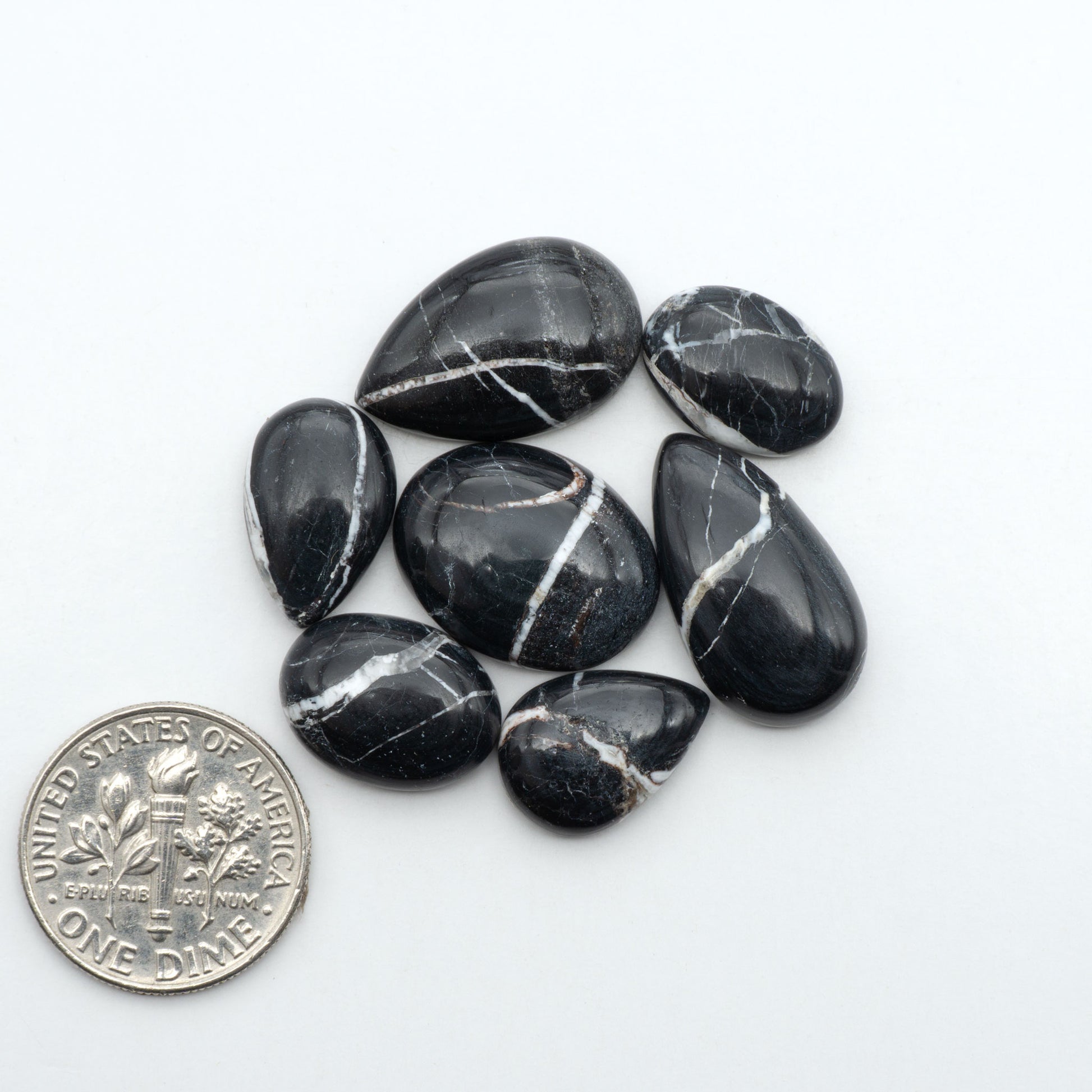 White Buffalo stone cabochons, white stone with black matrix, polished stones on a white background, with a US dime for scale
