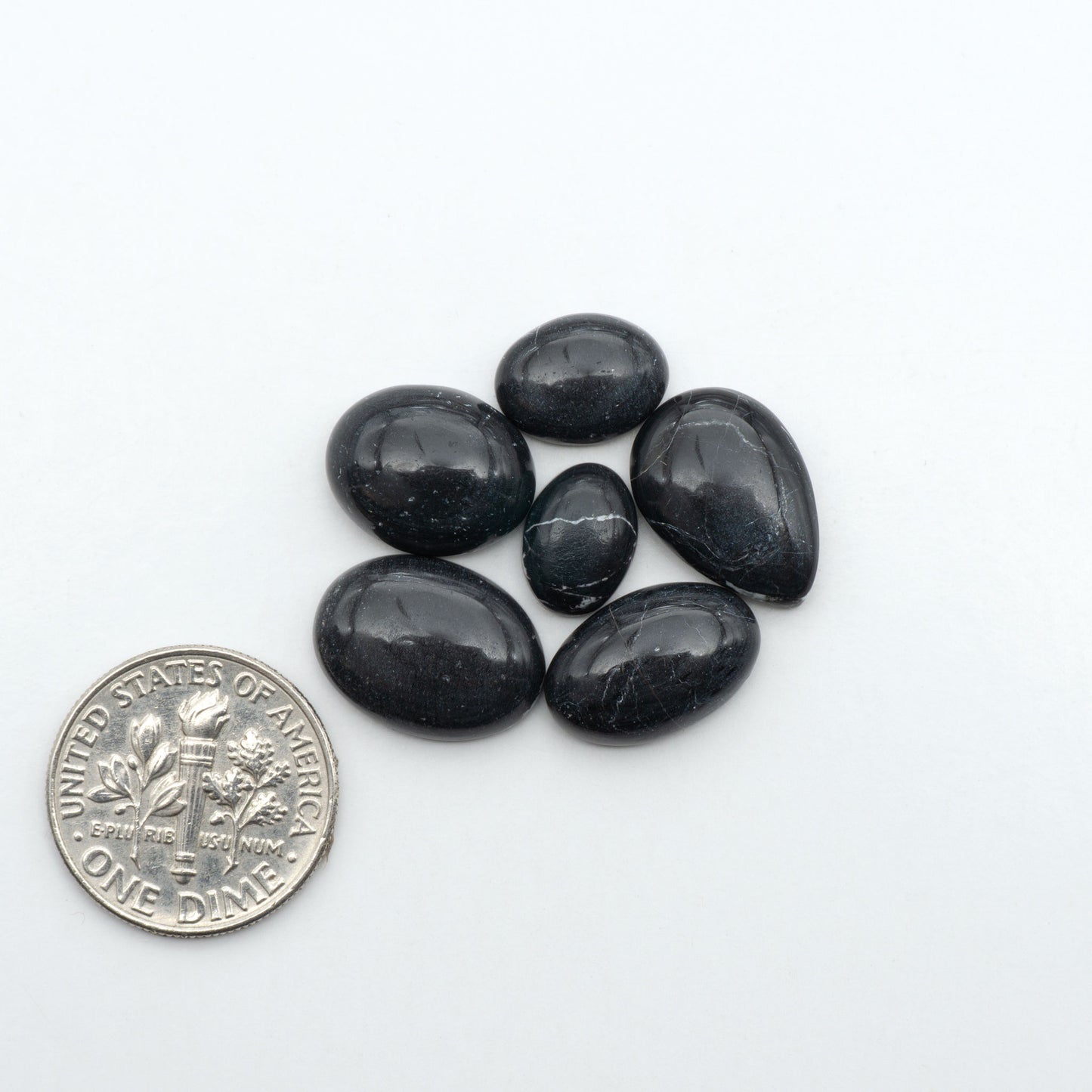 White Buffalo stone cabochons, white stone with black matrix, polished stones on a white background, with a US dime for scale