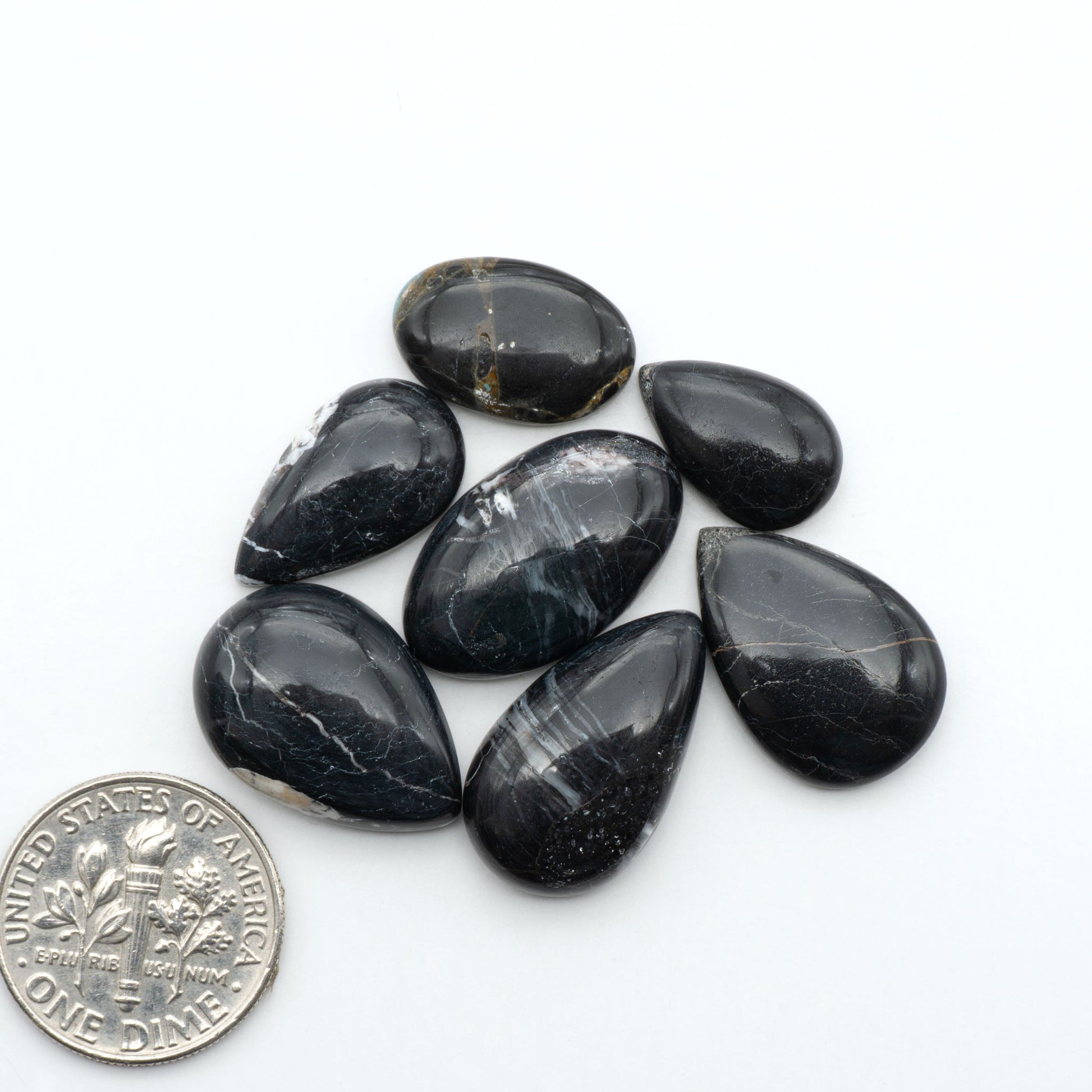 White Buffalo stone cabochons, white stone with black matrix, polished stones on a white background, with a US dime for scale