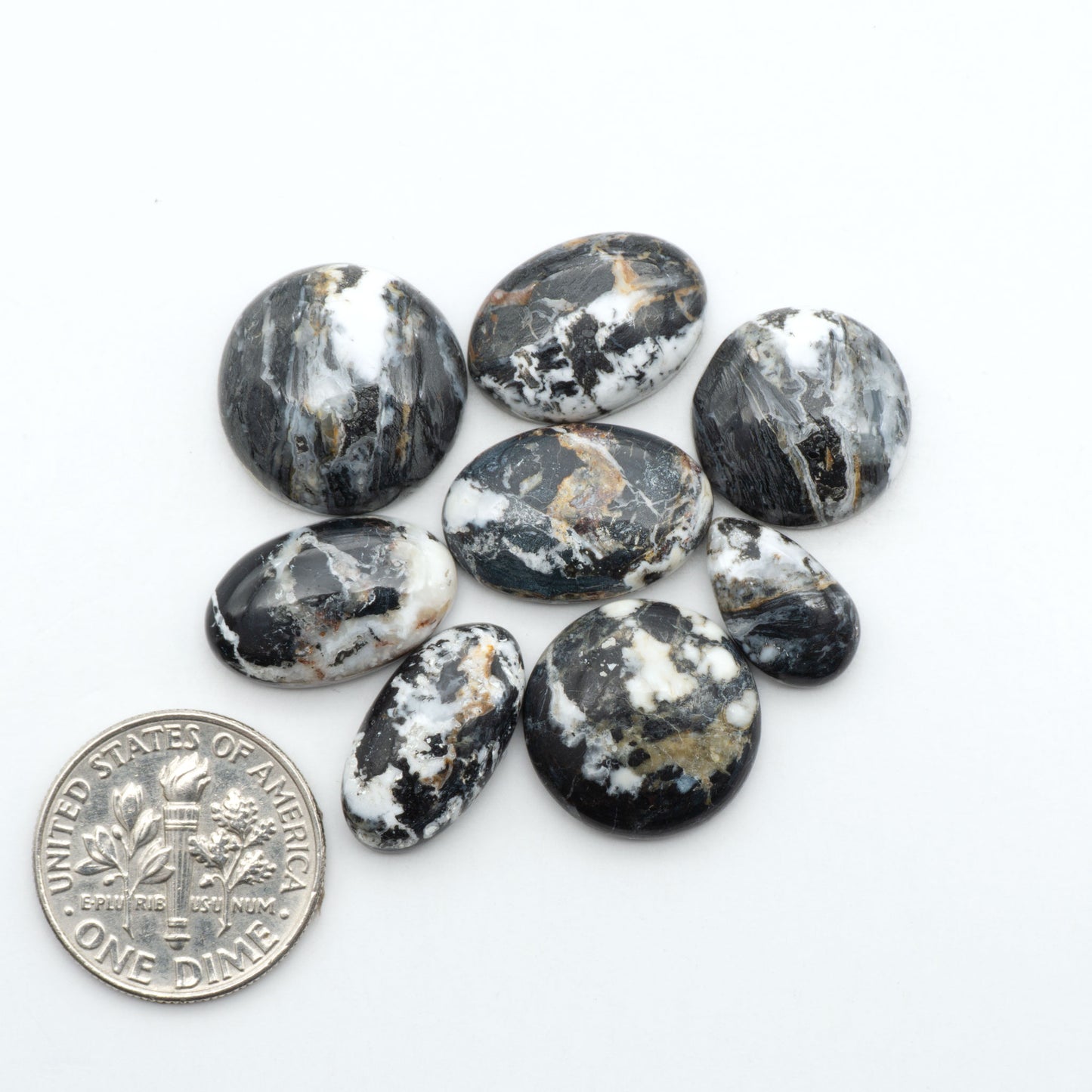White Buffalo stone cabochons, white stone with black matrix, polished stones on a white background, with a US dime for scale