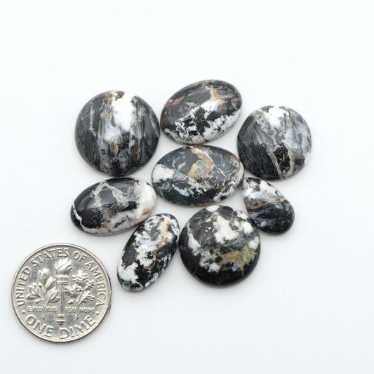 White Buffalo stone cabochons, white stone with black matrix, polished stones on a white background, with a US dime for scale