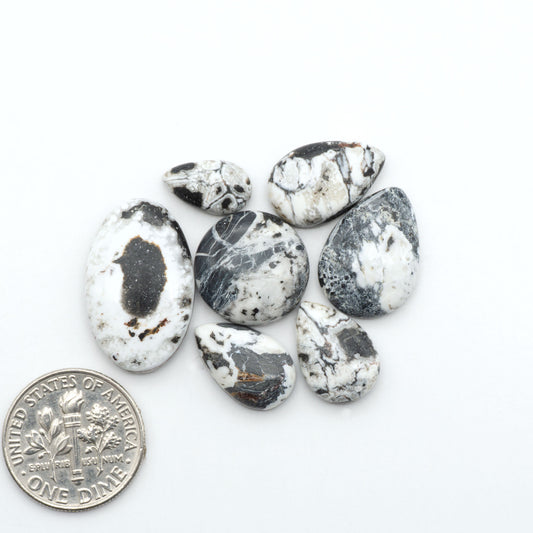 White Buffalo stone cabochons, white stone with black matrix, polished stones on a white background, with a US dime for scale