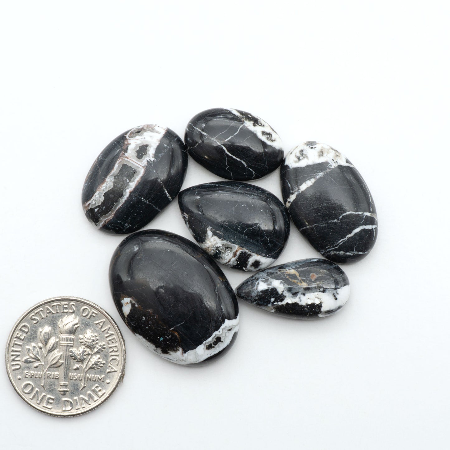 White Buffalo stone cabochons, white stone with black matrix, polished stones on a white background, with a US dime for scale