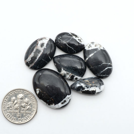 White Buffalo stone cabochons, white stone with black matrix, polished stones on a white background, with a US dime for scale