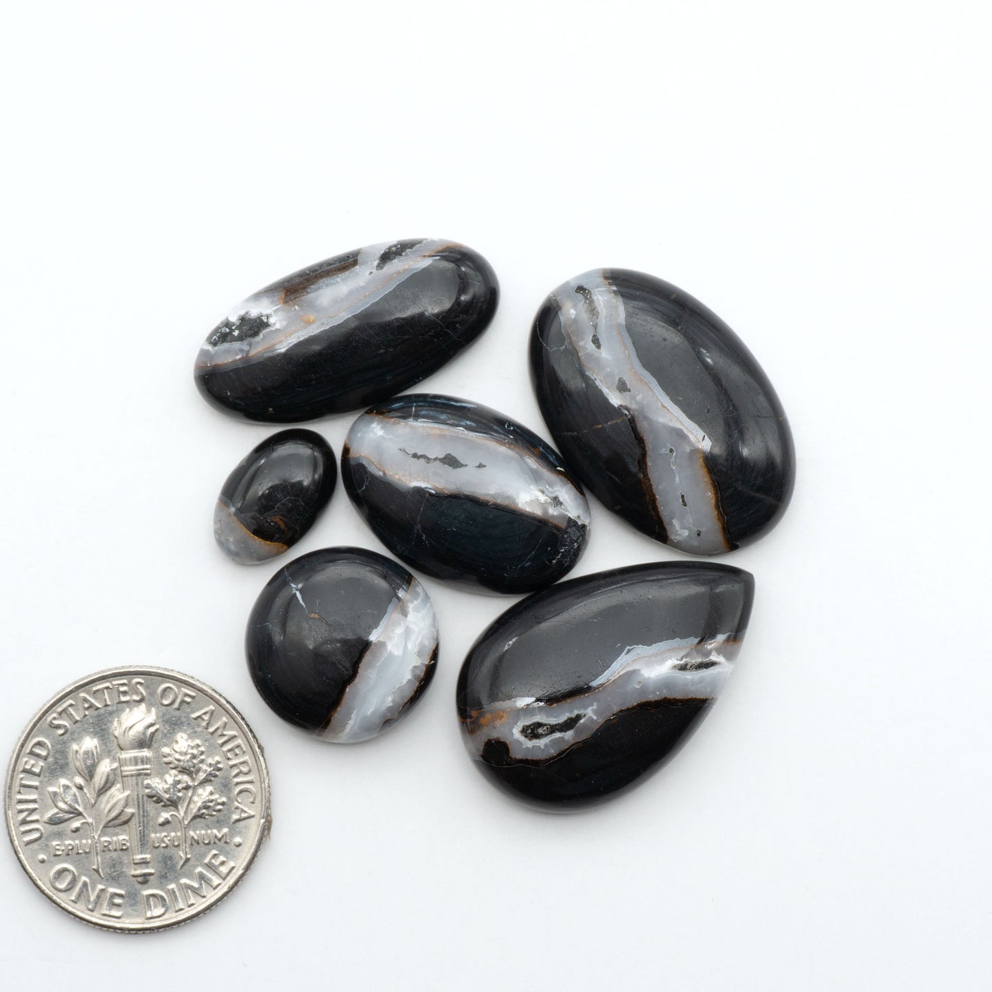 White Buffalo stone cabochons, white stone with black matrix, polished stones on a white background, with a US dime for scale