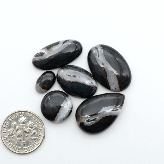 White Buffalo stone cabochons, white stone with black matrix, polished stones on a white background, with a US dime for scale