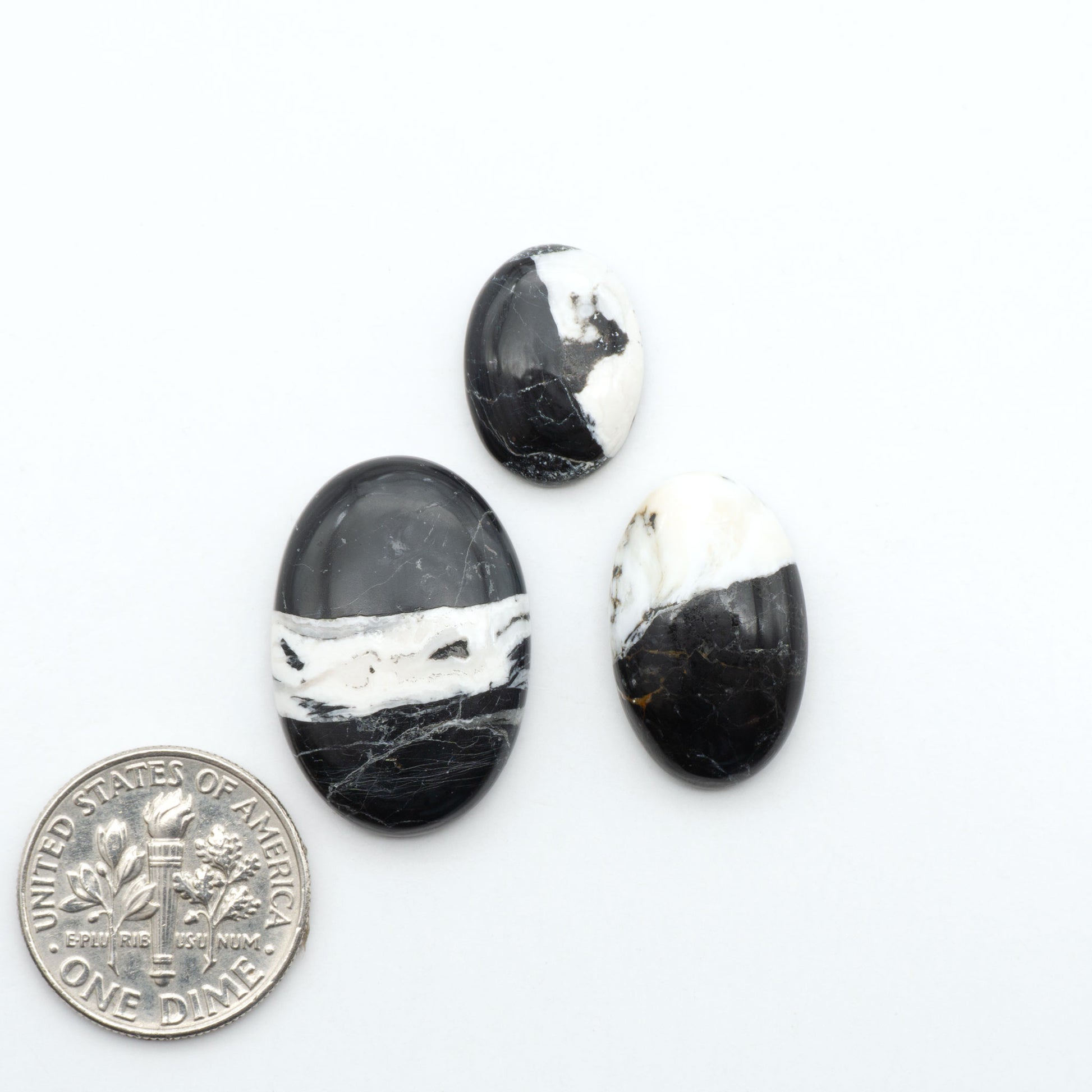 White Buffalo stone cabochons, white stone with black matrix, polished stones on a white background, with a US dime for scale
