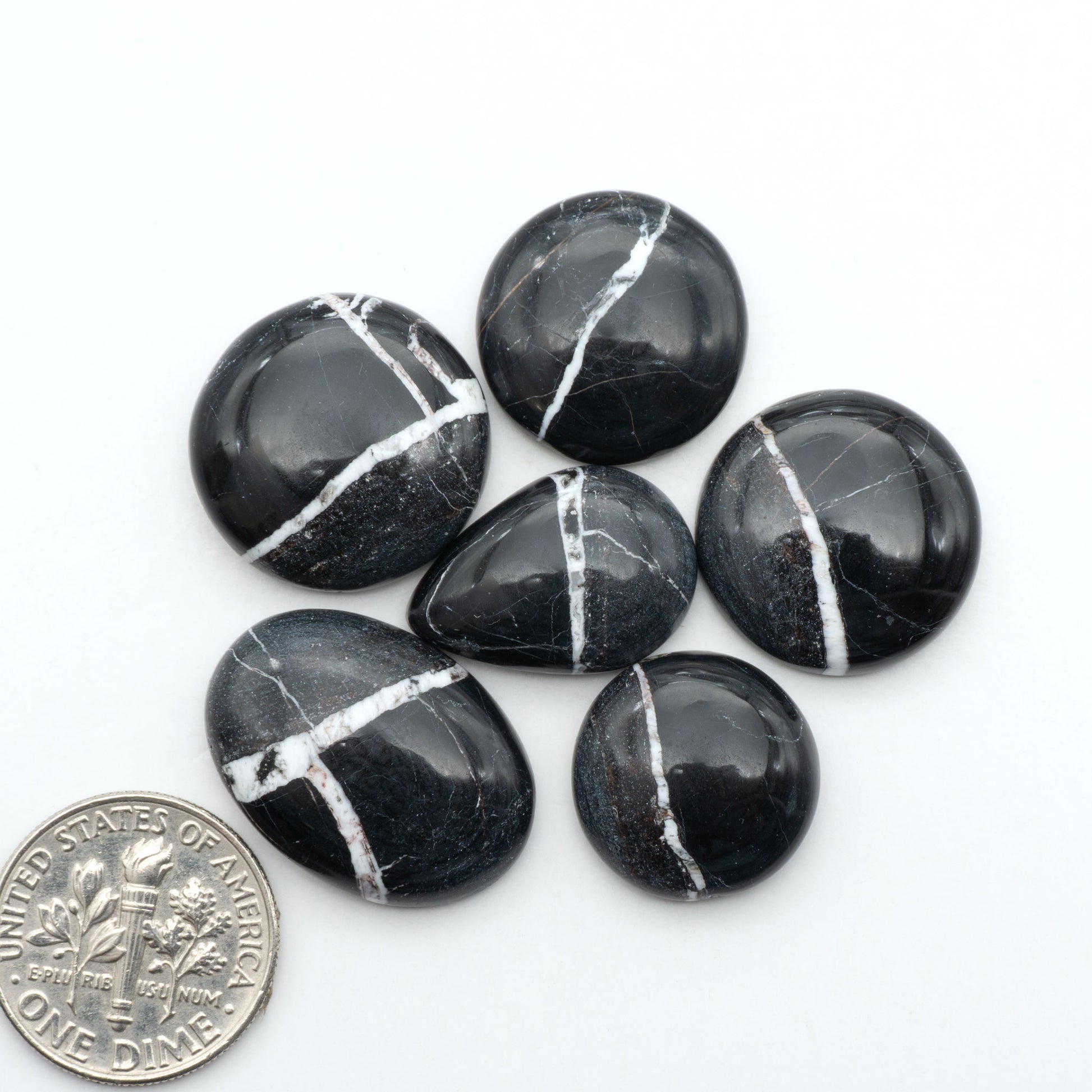White Buffalo stone cabochons, white stone with black matrix, polished stones on a white background, with a US dime for scale