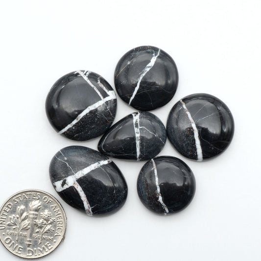 White Buffalo stone cabochons, white stone with black matrix, polished stones on a white background, with a US dime for scale