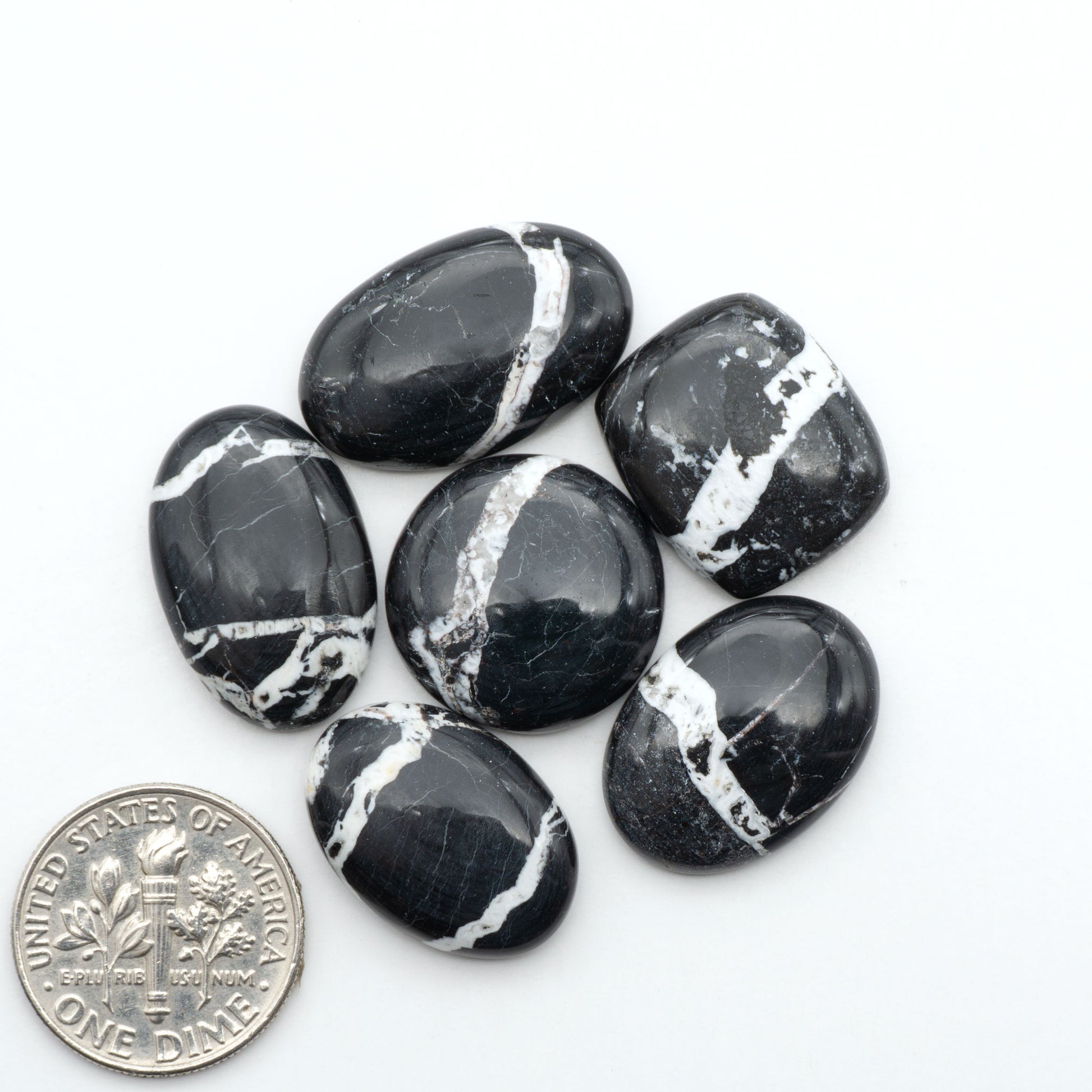 White Buffalo stone cabochons, white stone with black matrix, polished stones on a white background, with a US dime for scale