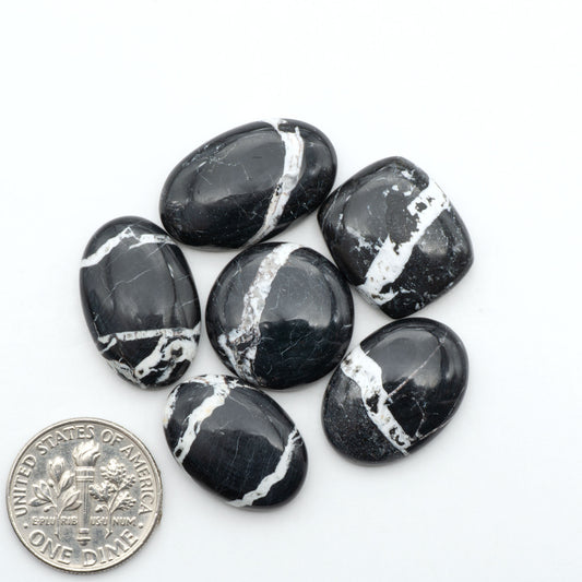 White Buffalo stone cabochons, white stone with black matrix, polished stones on a white background, with a US dime for scale