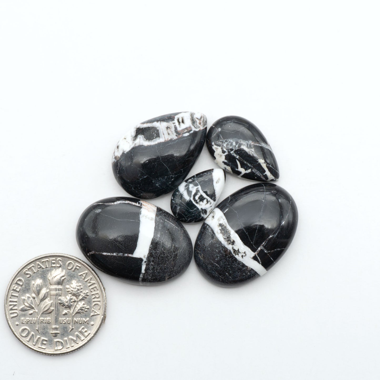 White Buffalo stone cabochons, white stone with black matrix, polished stones on a white background, with a US dime for scale