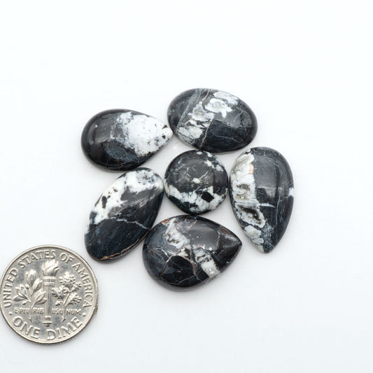 White Buffalo stone cabochons, white stone with black matrix, polished stones on a white background, with a US dime for scale