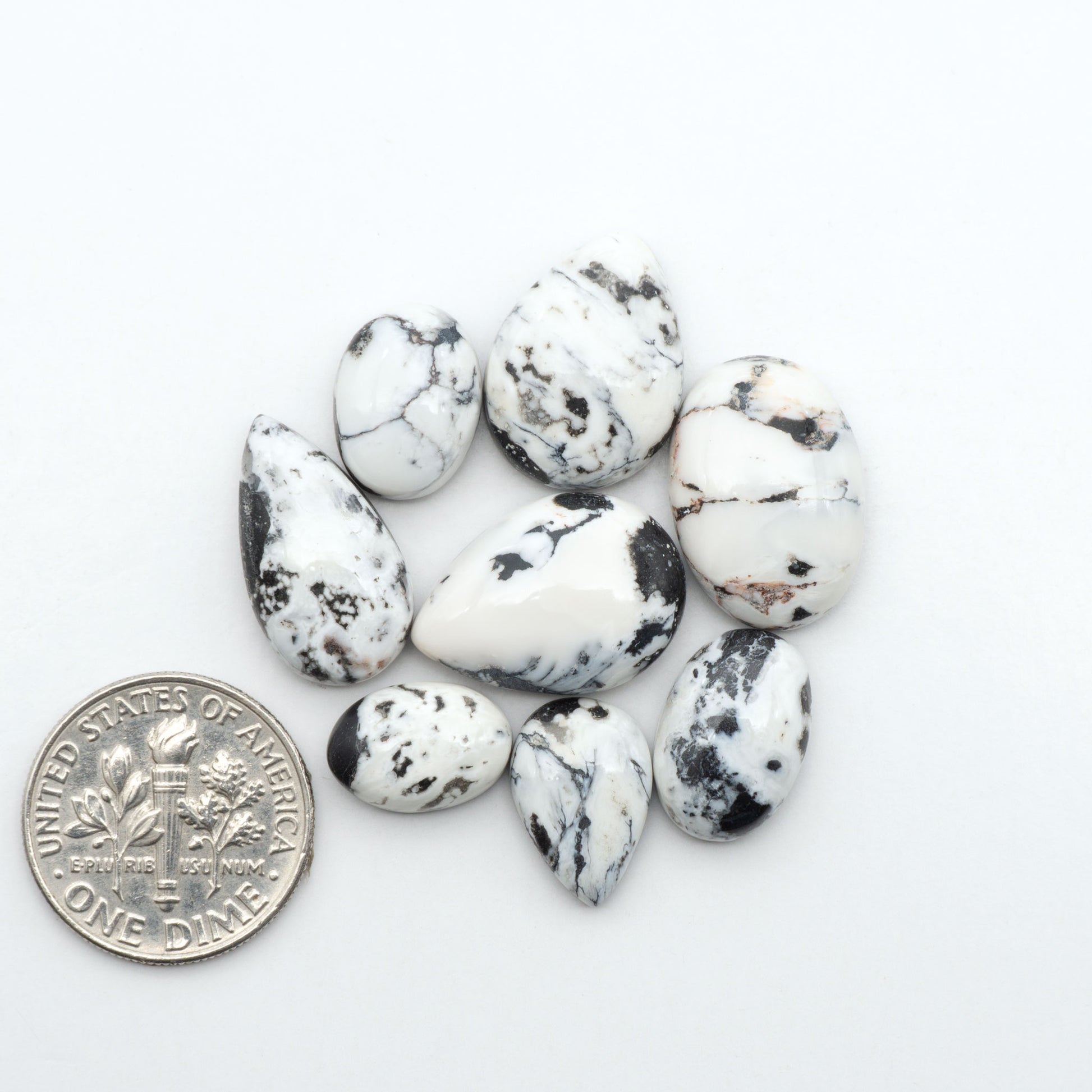 White Buffalo stone cabochons, white stone with black matrix, polished stones on a white background, with a US dime for scale