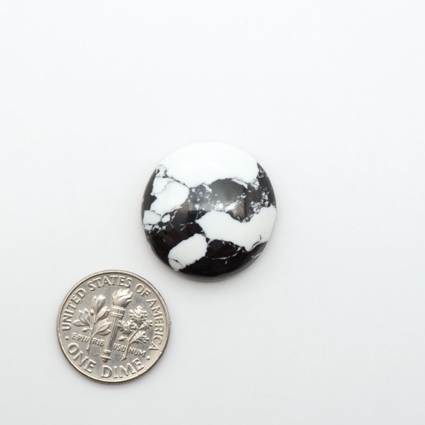 White Buffalo composite cabochons, black and white gemstones on a white background with a US dime for scale