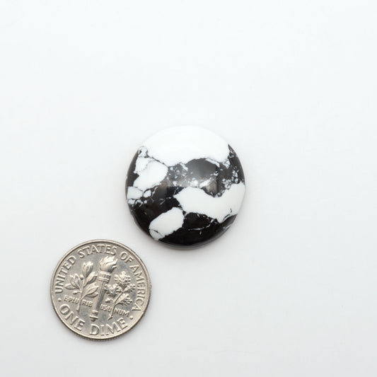 White Buffalo composite cabochons, black and white gemstones on a white background with a US dime for scale