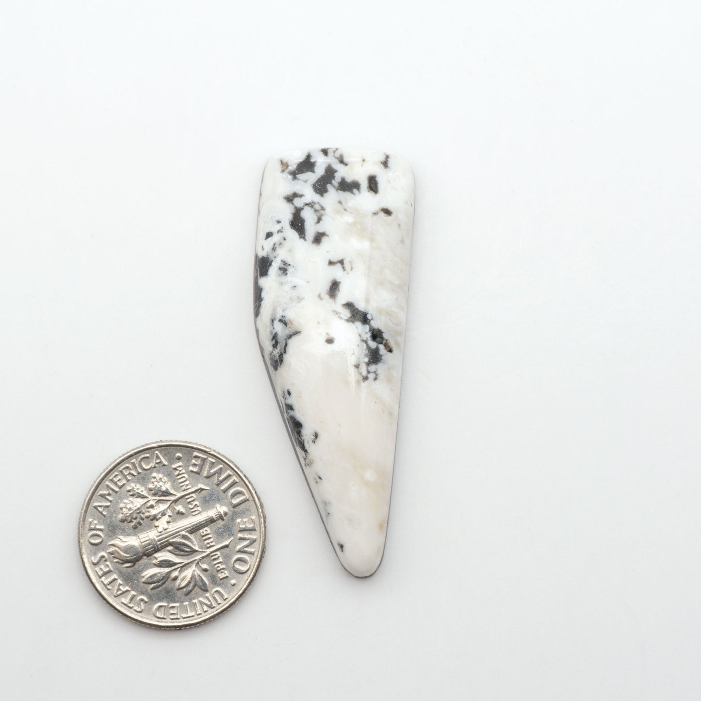 White Buffalo stone cabochons, white stone with black matrix, polished stones on a white background, with a US dime for scale