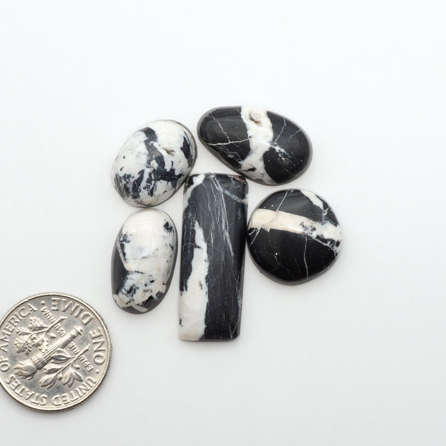 White Buffalo stone cabochons, white stone with black matrix, polished stones on a white background, with a US dime for scale
