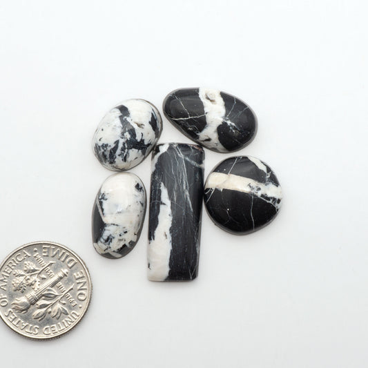 White Buffalo stone cabochons, white stone with black matrix, polished stones on a white background, with a US dime for scale