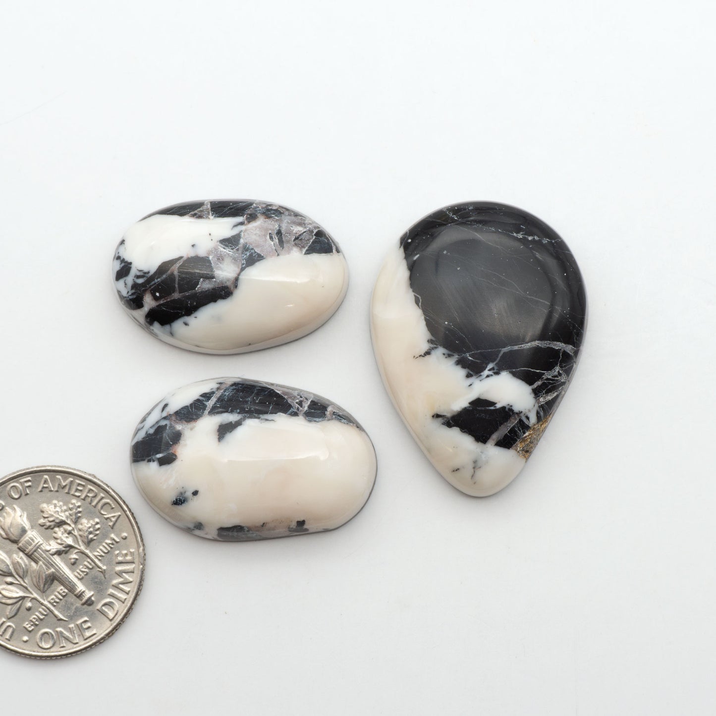White Buffalo stone cabochons, white stone with black matrix, polished stones on a white background, with a US dime for scale