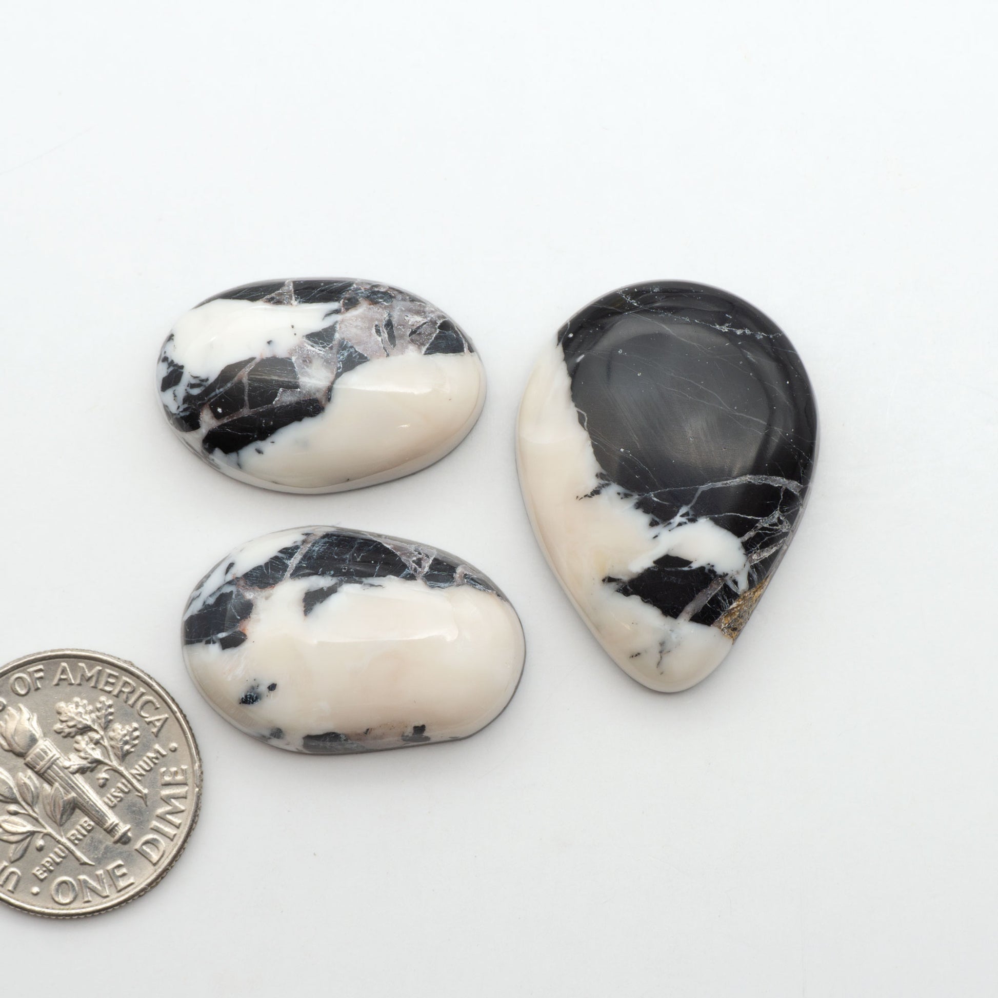White Buffalo stone cabochons, white stone with black matrix, polished stones on a white background, with a US dime for scale