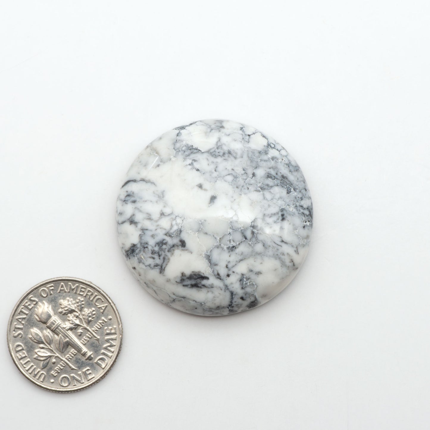 White Buffalo stone cabochons, white stone with black matrix, polished stones on a white background, with a US dime for scale