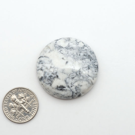 White Buffalo stone cabochons, white stone with black matrix, polished stones on a white background, with a US dime for scale