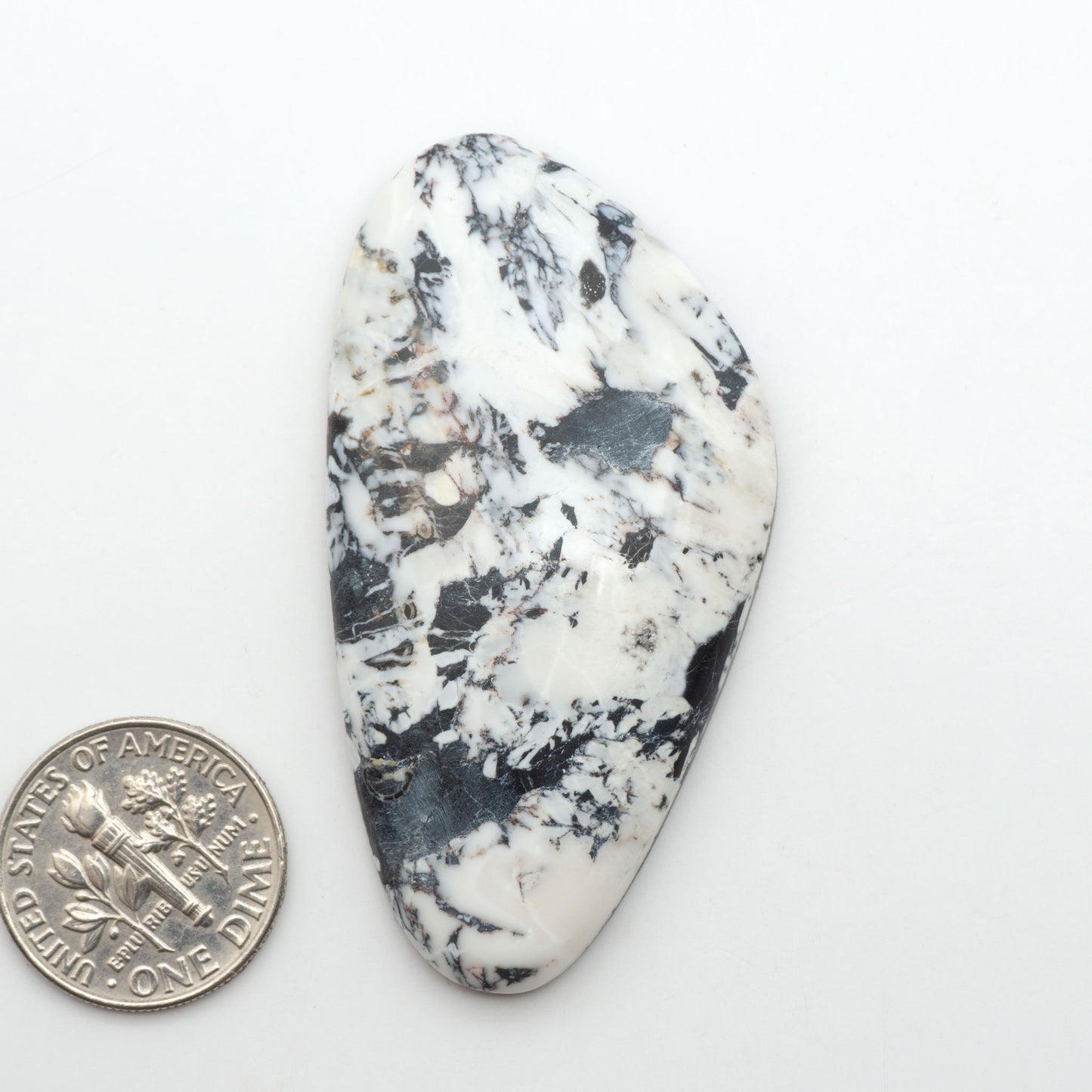 White Buffalo stone cabochons, white stone with black matrix, polished stones on a white background, with a US dime for scale