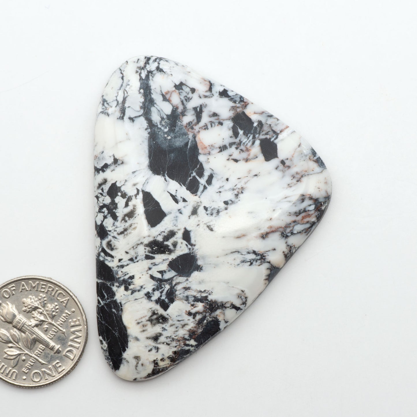 White Buffalo stone cabochons, white stone with black matrix, polished stones on a white background, with a US dime for scale