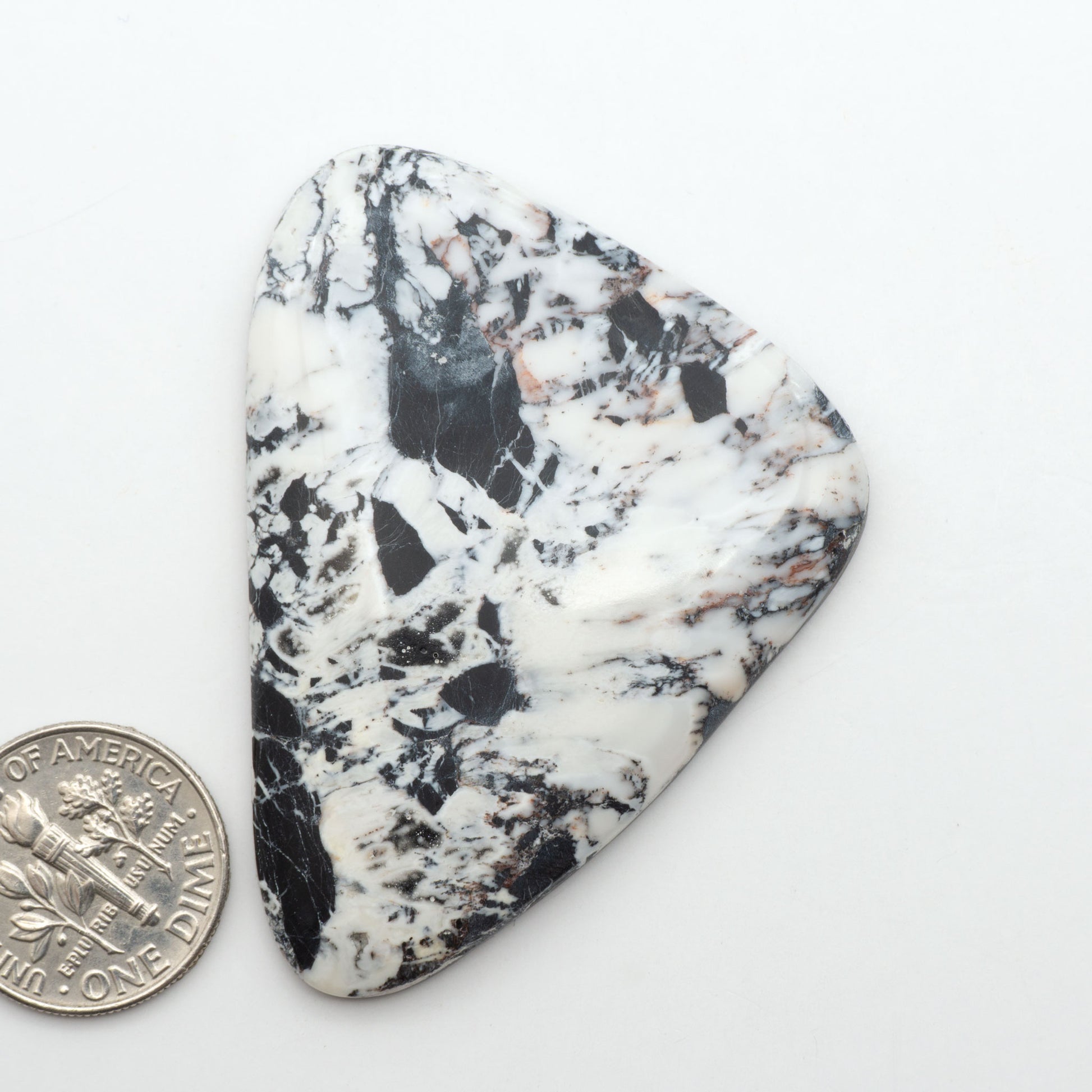 White Buffalo stone cabochons, white stone with black matrix, polished stones on a white background, with a US dime for scale
