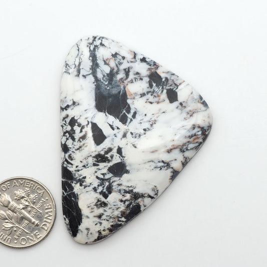 White Buffalo stone cabochons, white stone with black matrix, polished stones on a white background, with a US dime for scale