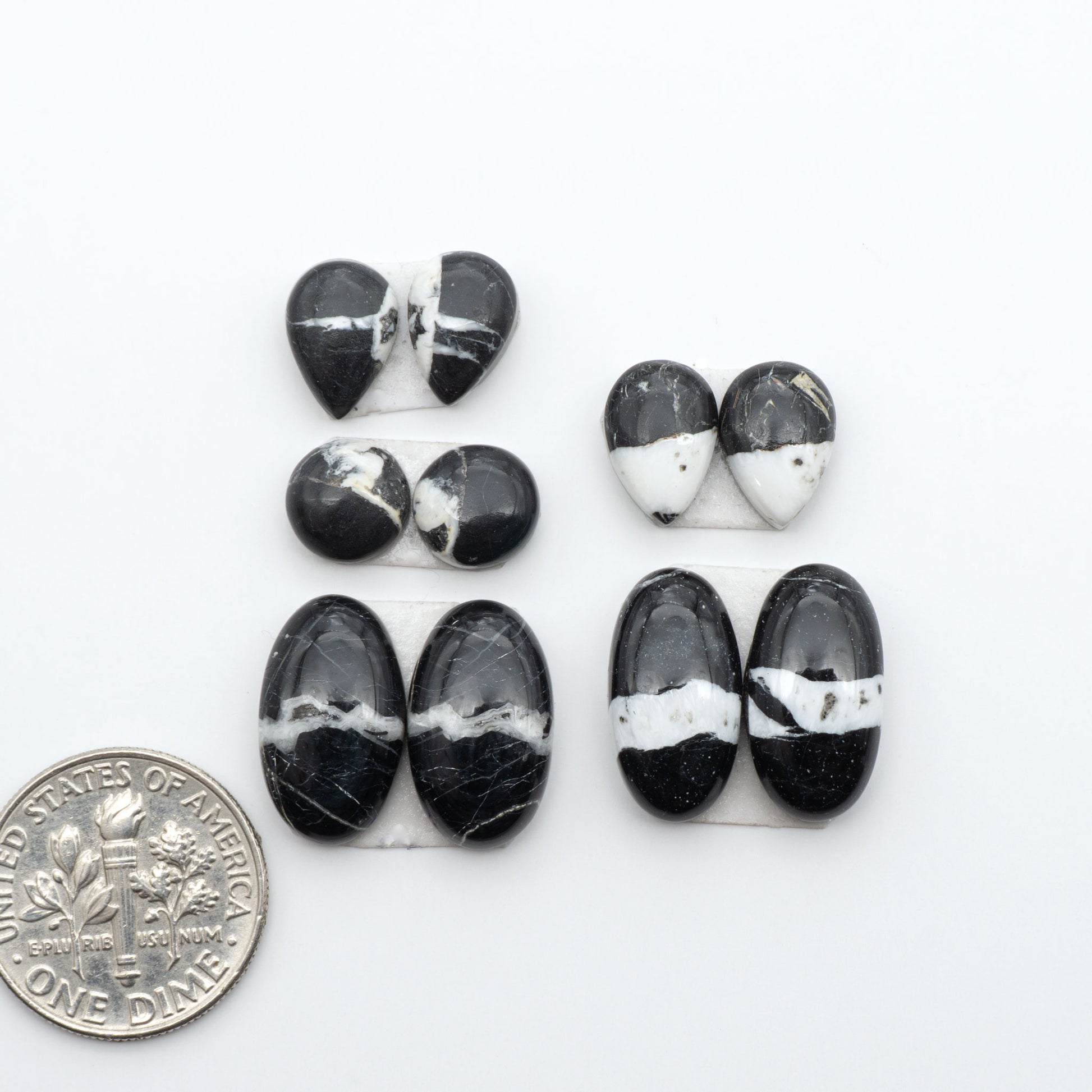 White Buffalo stone cabochons, white stone with black matrix, polished stones on a white background, with a US dime for scale