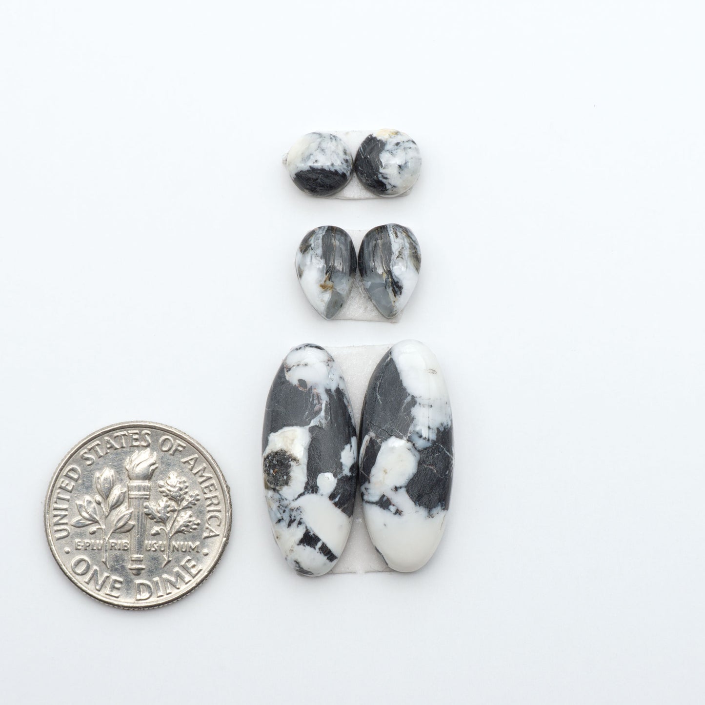 White Buffalo stone cabochons, white stone with black matrix, polished stones on a white background, with a US dime for scale