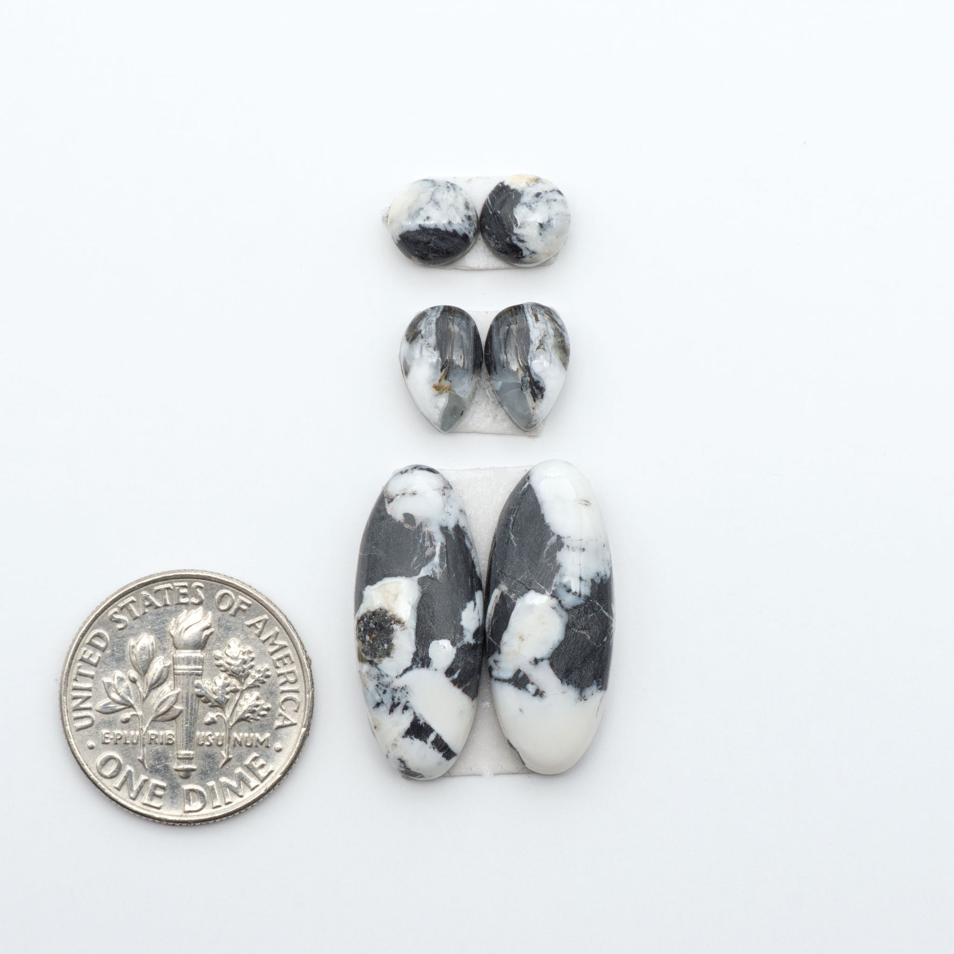 White Buffalo stone cabochons, white stone with black matrix, polished stones on a white background, with a US dime for scale