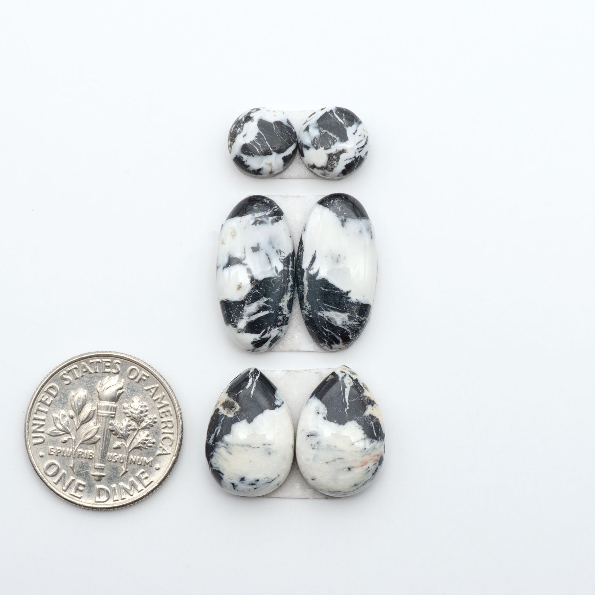 White Buffalo stone cabochons, white stone with black matrix, polished stones on a white background, with a US dime for scale
