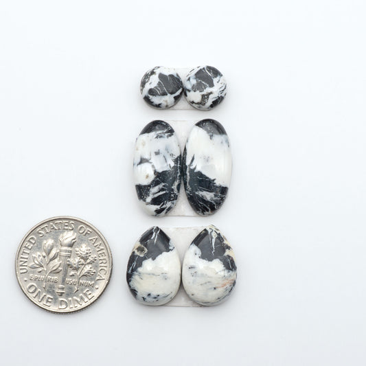 White Buffalo stone cabochons, white stone with black matrix, polished stones on a white background, with a US dime for scale