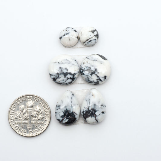 White Buffalo stone cabochons, white stone with black matrix, polished stones on a white background, with a US dime for scale