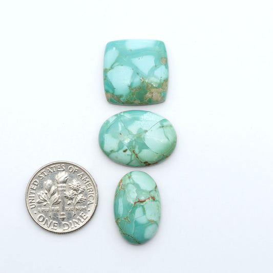 Pilot Mountain Turquoise cabochons, blue-green gemstones with natural matrix on a white background with a US dime for scale
